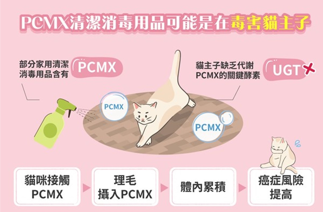 PCMX(Chloroxylenol)對於人來說,雖然可能會造成過敏等的副作用,但對貓主子,卻是一種「毒藥」,這是因為貓主子體內缺乏代謝PCMX(Chloroxylenol)的關鍵酵素—UGT!