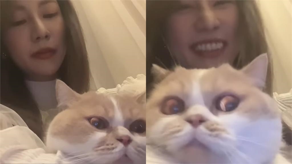 阿部瑪利亞「嗲聲審訊」太魔性!16秒「地獄視角曬咪咪」萬網瘋看:我沒了