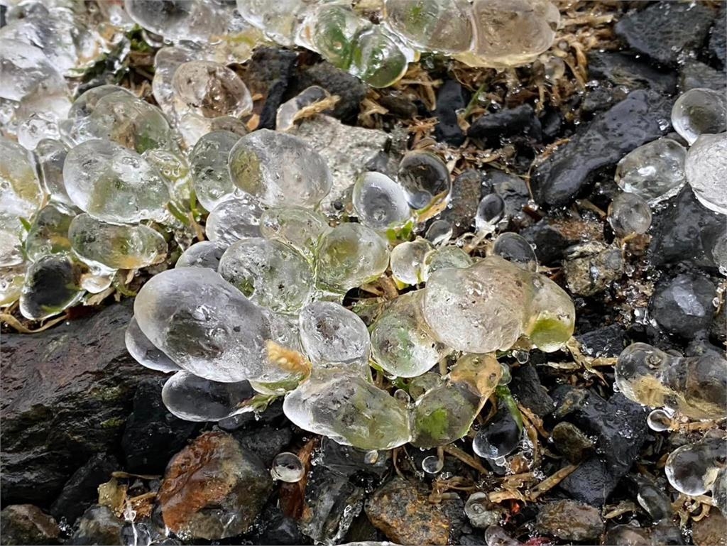 玉山清晨-2.8度!山頭「一夜凍雨」現冰封美景氣象署:比下雪危險