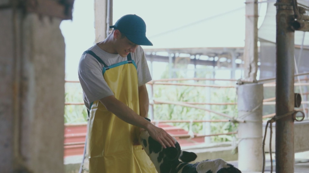 《鬥陣大廟埕》林美秀扛轎累到怕 無奈「與牛對話」：你願意去轎班嗎？