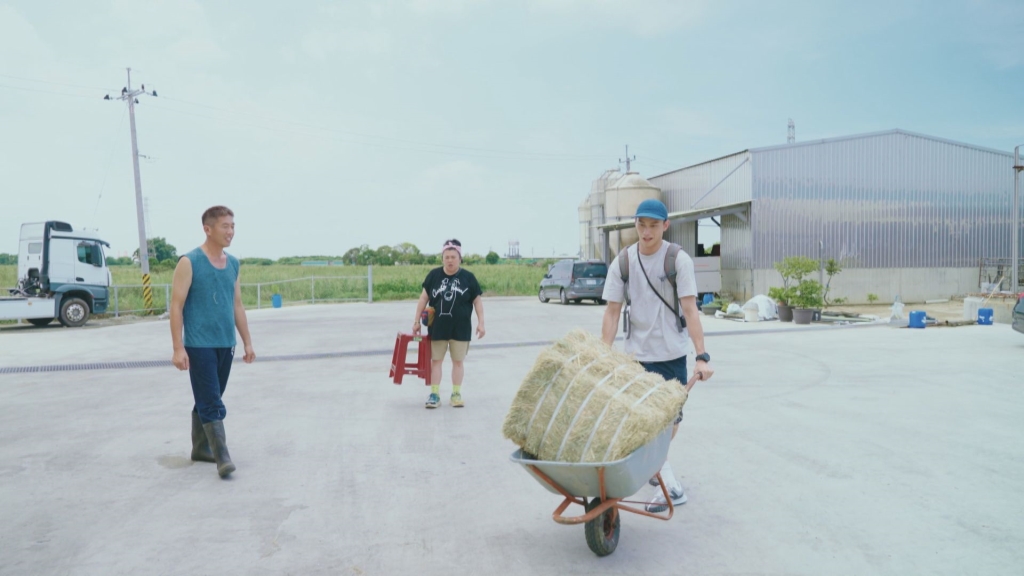 《鬥陣大廟埕》林美秀扛轎累到怕 無奈「與牛對話」：你願意去轎班嗎？