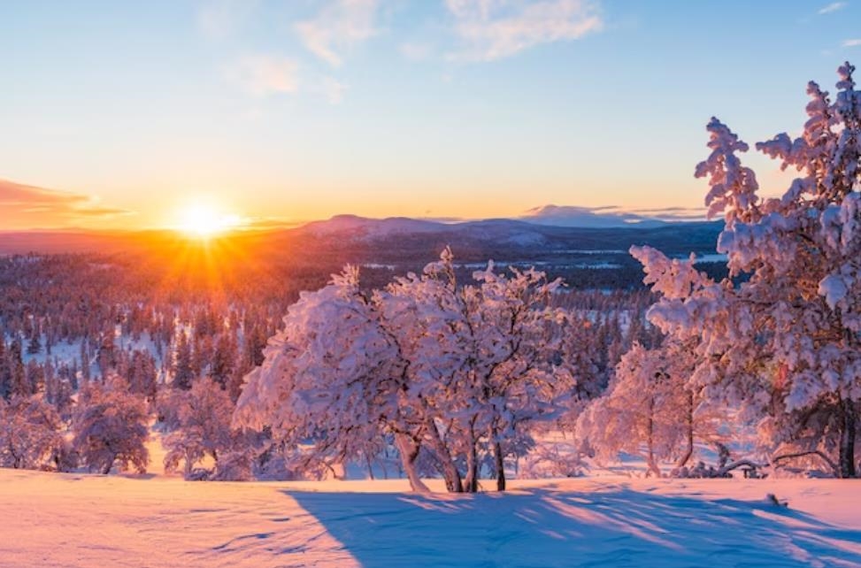 小寒1/6來報到！命理師：家中「此方位」擺上小魚缸　可補運、旺財　