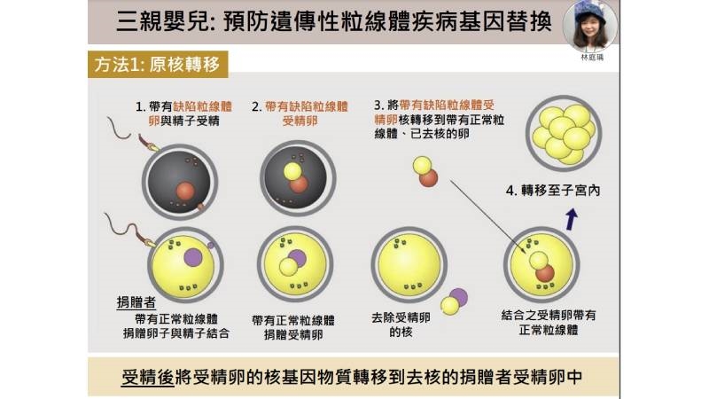 竟然有3個父母基因! 「三親嬰兒」是否合法?各國爭議