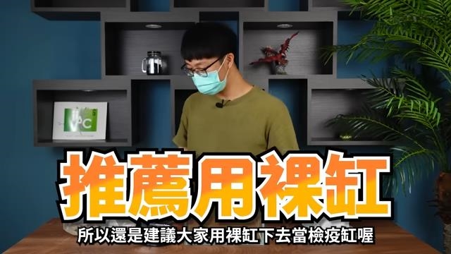 夜市撈魚都養不活?水族達人曝「3重點」 網讚:長知識了