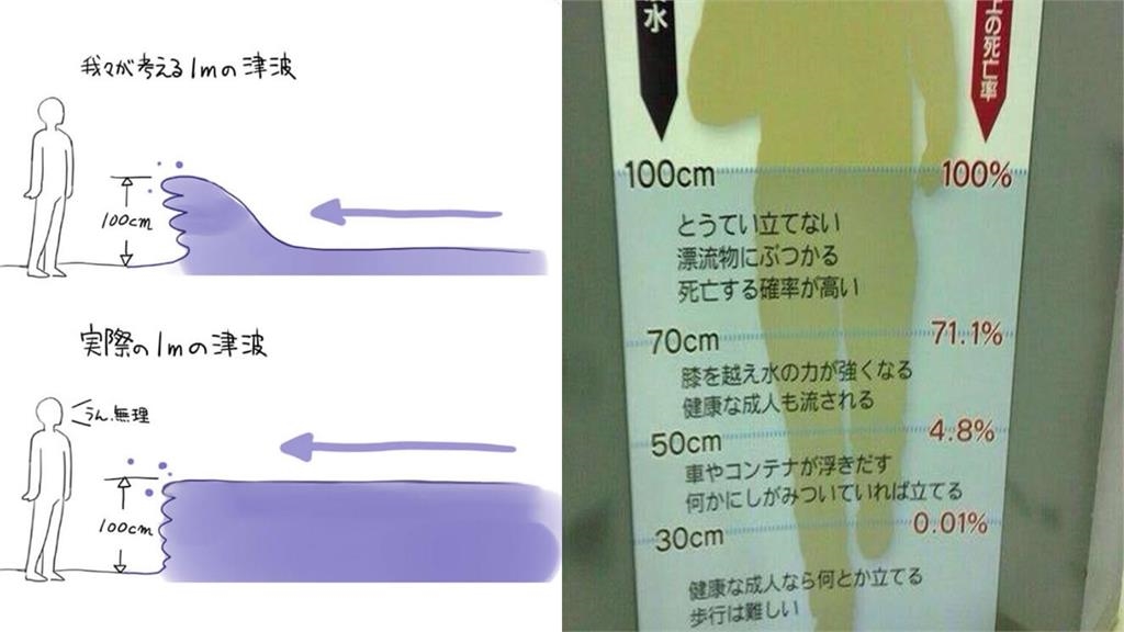 1公尺海嘯沒什麼？作家急示警「不是小波浪」　致死率近100%關鍵曝
