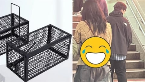 她後背包用「捕鼠籠做的」吸萬人朝聖!釣出創作者笑喊:要去巴黎展出