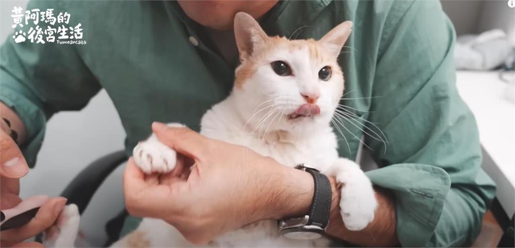 動物界YTR「黃阿瑪」滿17歲了!現況曝光「這個沒變」老粉全湧入祝賀