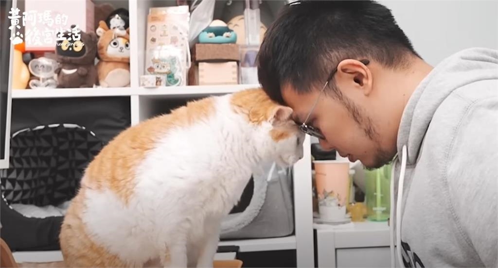 動物界YTR「黃阿瑪」滿17歲了!現況曝光「這個沒變」老粉全湧入祝賀