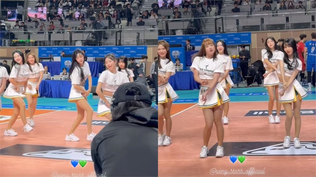 「最強外掛」安芝儇領軍!台鋼啦啦隊「現身南韓排球賽」創史上首次