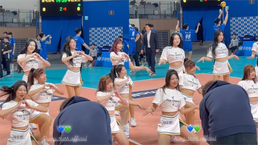 「最強外掛」安芝儇領軍!台鋼啦啦隊「現身南韓排球賽」創史上首次