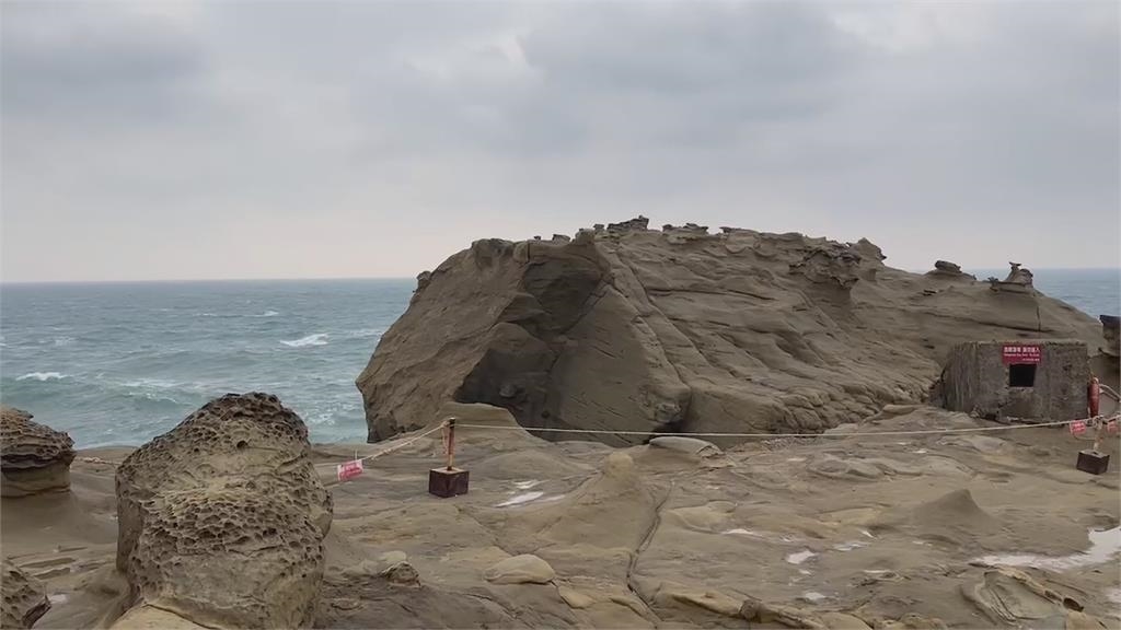 象鼻岩斷鼻沒關係! 原地轉生"水豚君"再創第二春