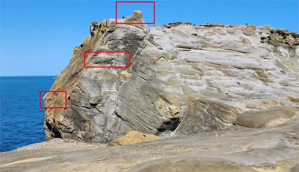 象鼻岩斷鼻沒關係! 原地轉生"水豚君"再創第二春