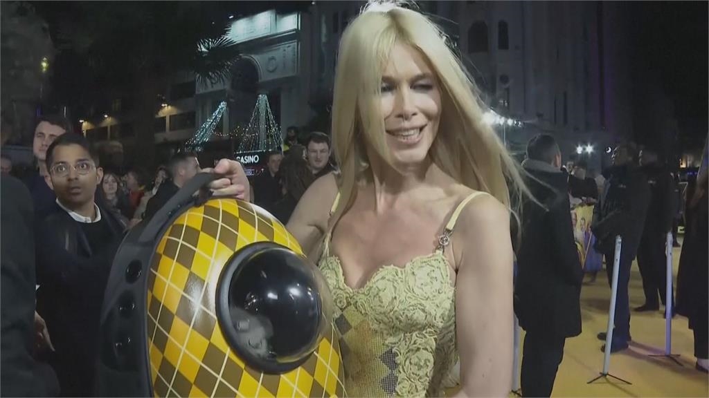 純種貓健康問題較多難照顧　英國統計：棄養案例飆升3倍