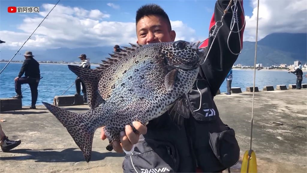 聽他的釣魚用這個!魚竟都比臉還要大 曝1必殺誘餌竿竿中