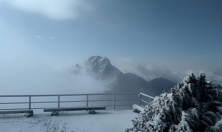 快新聞／玉山群峰迎來降雪「積雪達5公分」　絕美雪景曝光！　