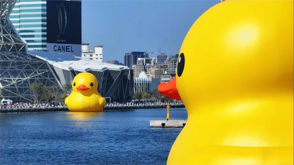 快新聞/黃色小鴨雙鴨KISS超浪漫畫面曝! 陳其邁又變「陳3歲」狂吹呱呱呱配樂