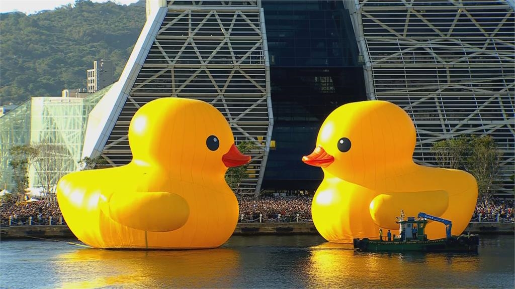 快新聞/黃色小鴨雙鴨KISS超浪漫畫面曝! 陳其邁又變「陳3歲」狂吹呱呱呱配樂