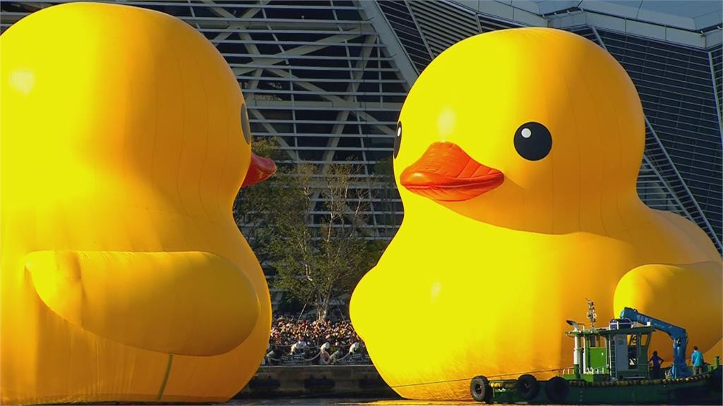 快新聞/黃色小鴨雙鴨KISS超浪漫畫面曝! 陳其邁又變「陳3歲」狂吹呱呱呱配樂