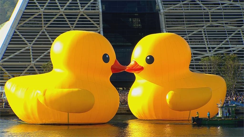 快新聞/黃色小鴨雙鴨KISS超浪漫畫面曝! 陳其邁又變「陳3歲」狂吹呱呱呱配樂