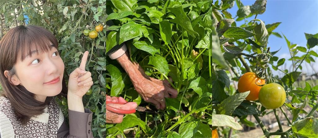 泱泱回老家「一日孫女」不藏了!突襲開箱「巨大果實」萬網舉旗:景色太美