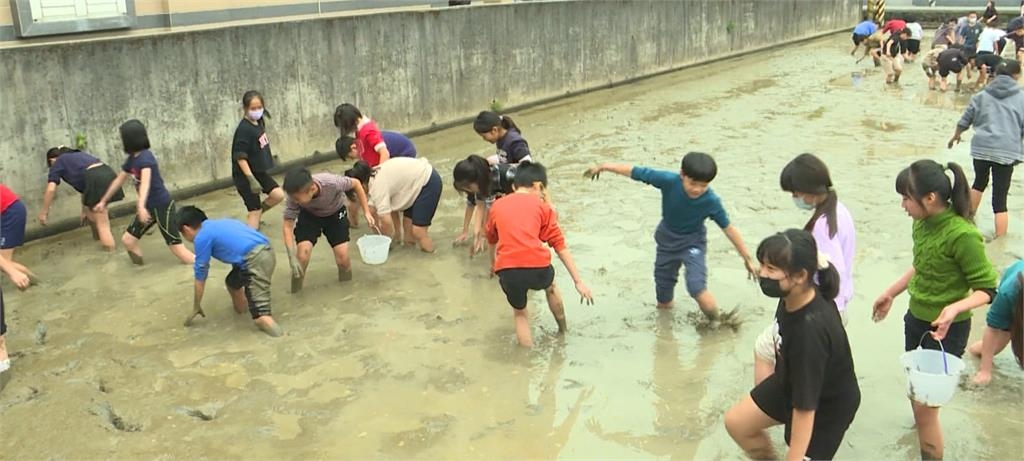 推廣食農教育、珍惜食物　四結國小全校師生以農田為教室