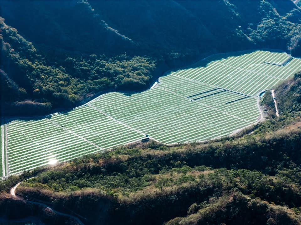 快新聞/超美!屏東「西瓜河」風景超壯觀 徐富癸PO照讚:春季限定