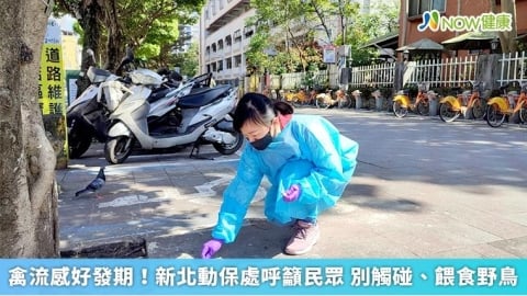 禽流感好發期！新北動保處呼籲民眾 別觸碰、餵食野鳥