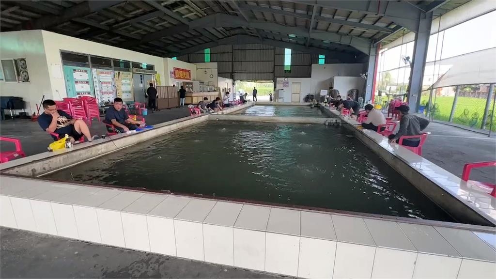 泰國蝦產量大減！1斤要價近400元　產量大減「原因」曝