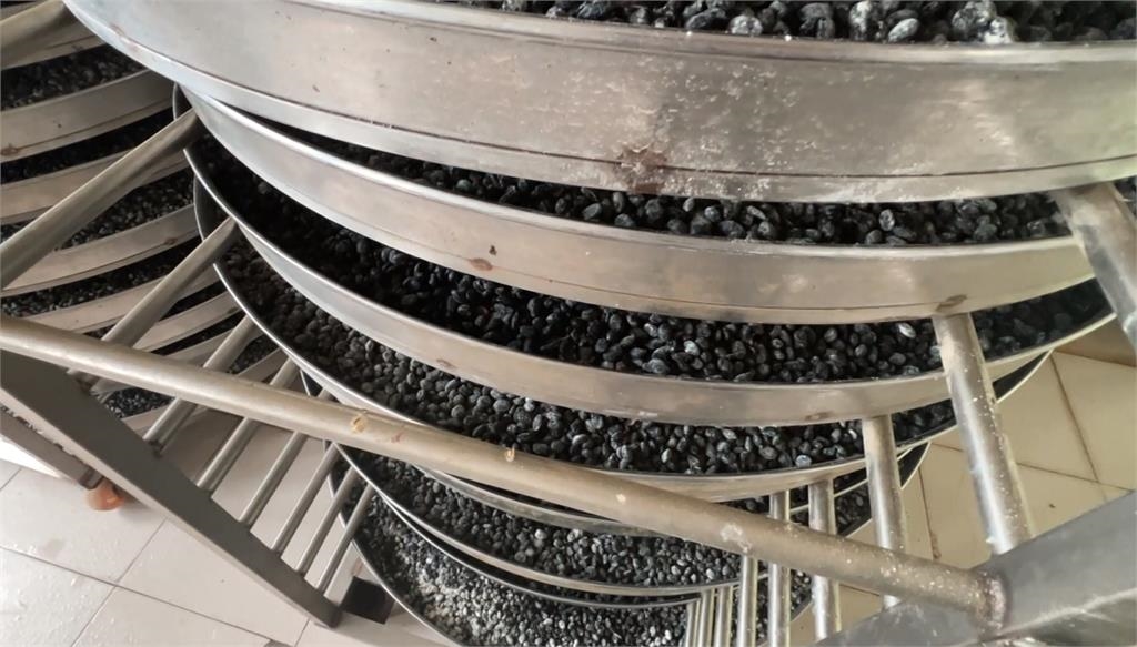 純手工釀造黑豆醬油 曝曬180天完熟「一滴入魂」