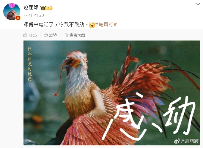 在、再不分!趙麗穎PO文「1週連錯3次」遭抓包…網批文盲:能看懂劇本?