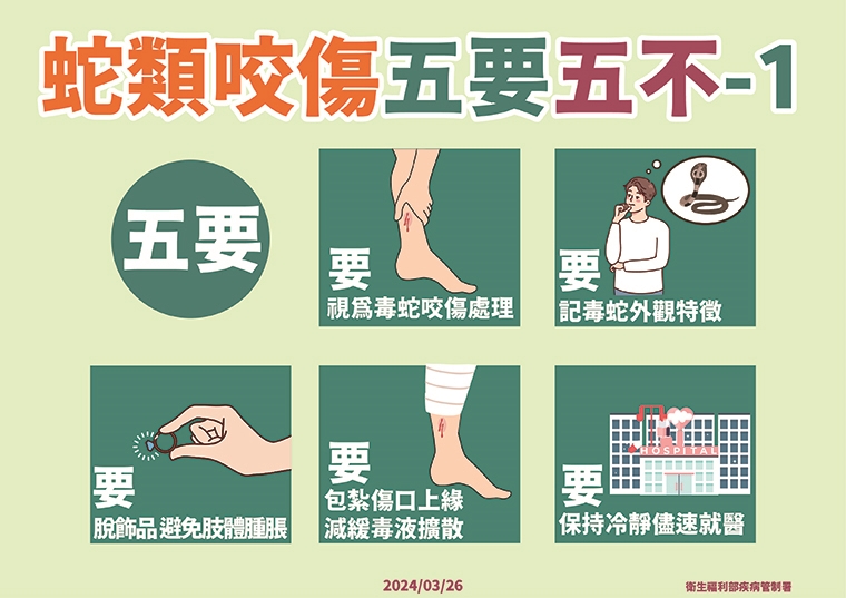 清明掃墓勿「打草驚蛇」 台灣常見6大毒蛇圖解1次搞懂