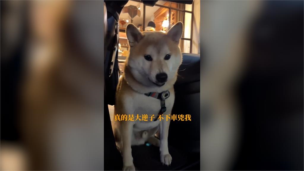 胖柴超愛「強佔別人機車」　她三催四請叫不動還被兇