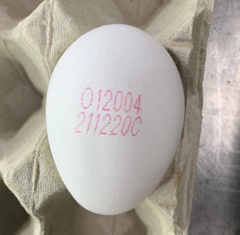 洗選蛋外殼「2排編碼」看攏謀！教你看「5英文代號」揭露生產方式
