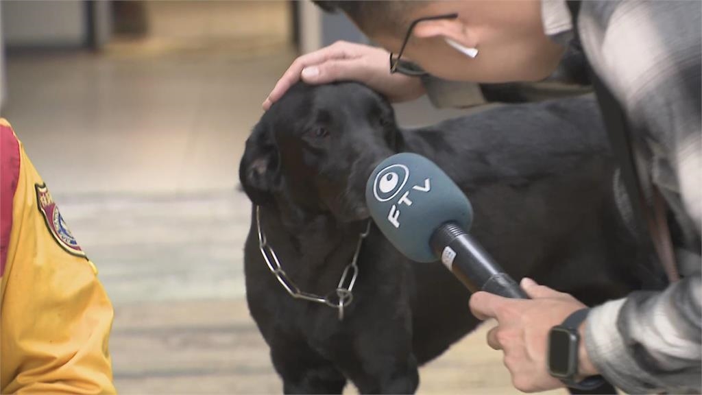 快新聞/汪汪隊集結!特搜犬Umar挺進砂卡礑 「人狗合作」齊力搶命