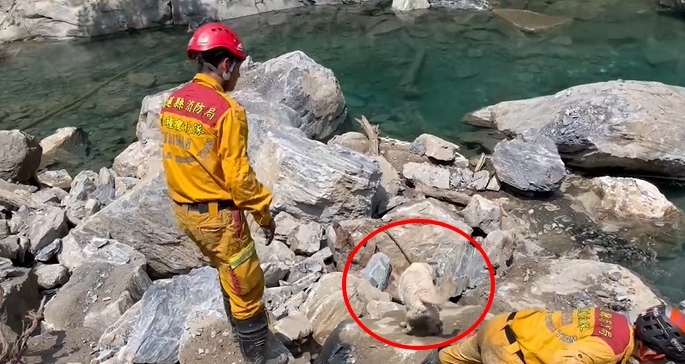 快新聞／花蓮搜救犬石礫間嗅聞「突跳進溪水」！　搖尾巴游泳超萌畫面曝光