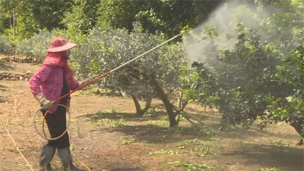 青農返鄉投入農村創生　打造新品牌