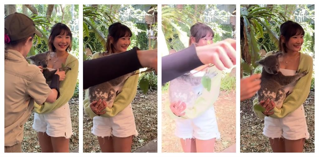 愛莉莎莎赴澳「初抱無尾熊感覺很差」!她批園方「3舉動」:超不尊重