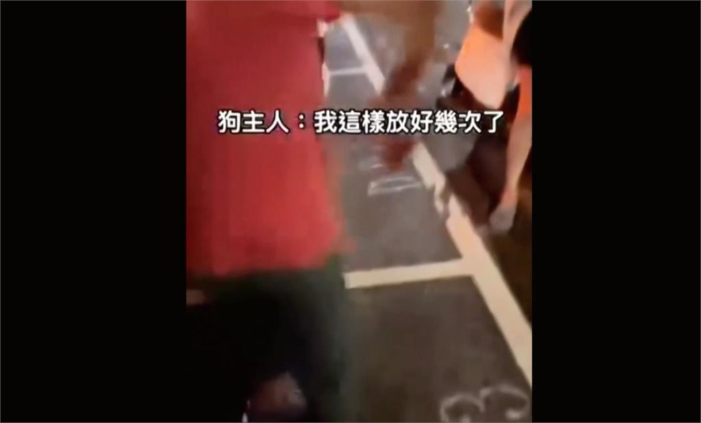 吉娃娃關車內狂吠不止！　民眾報案車主竟嗆：誰規定不行？