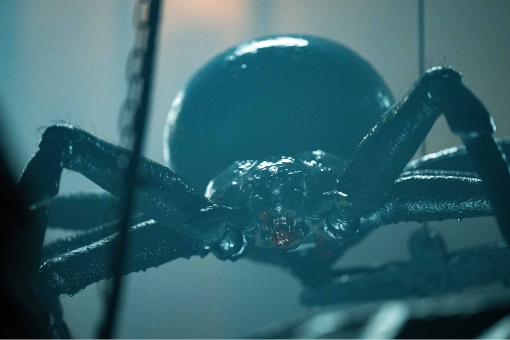 《阿凡達》金獎特效打造八腳巨怪　《蜘蛛驚》讓鬼才導演慘留創傷&nbsp;