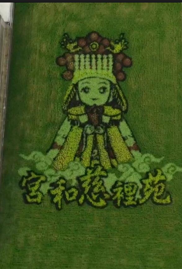 苗栗苑裡稻田彩繪再進化 「天后駕稻」喜迎三媽會