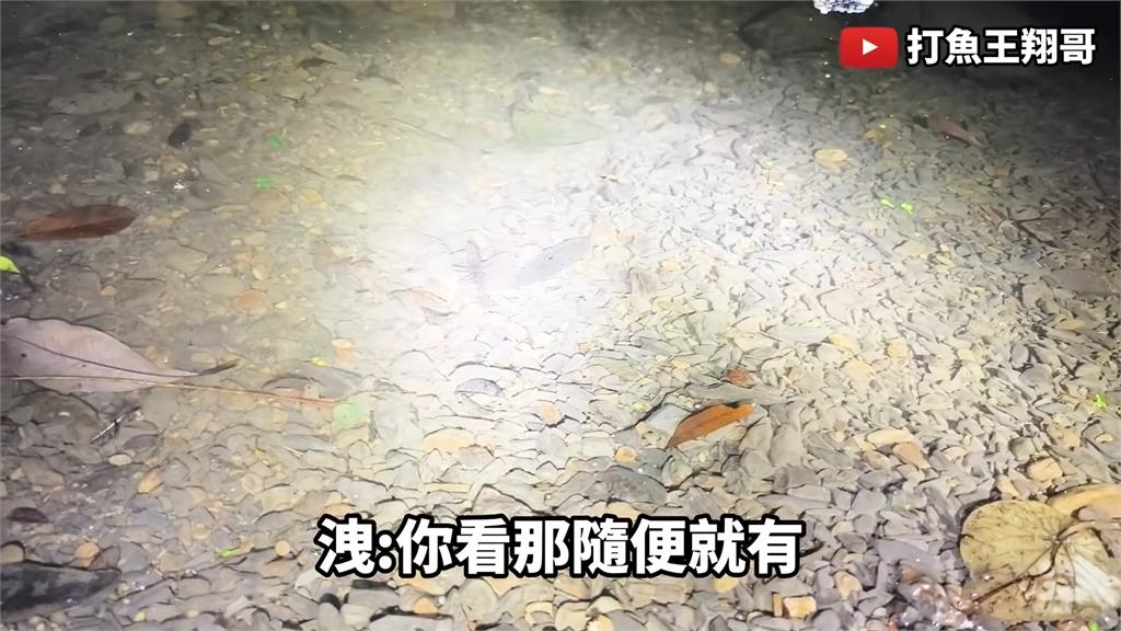 得來全不費工夫!網紅捕獵時見「蝦自動滑入網」 浮誇景象笑喊:超誇張