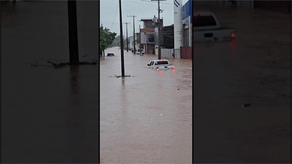 敏熙報氣象/昆蟲界最長壽! 美國「周期蟬」同時破土估逾1兆隻