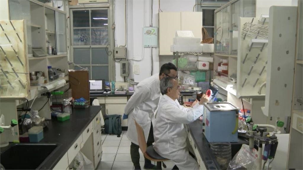 娘家「大紅麴」全程在台自製！原料廠保證「無汙染」：使用專利密閉固態發酵