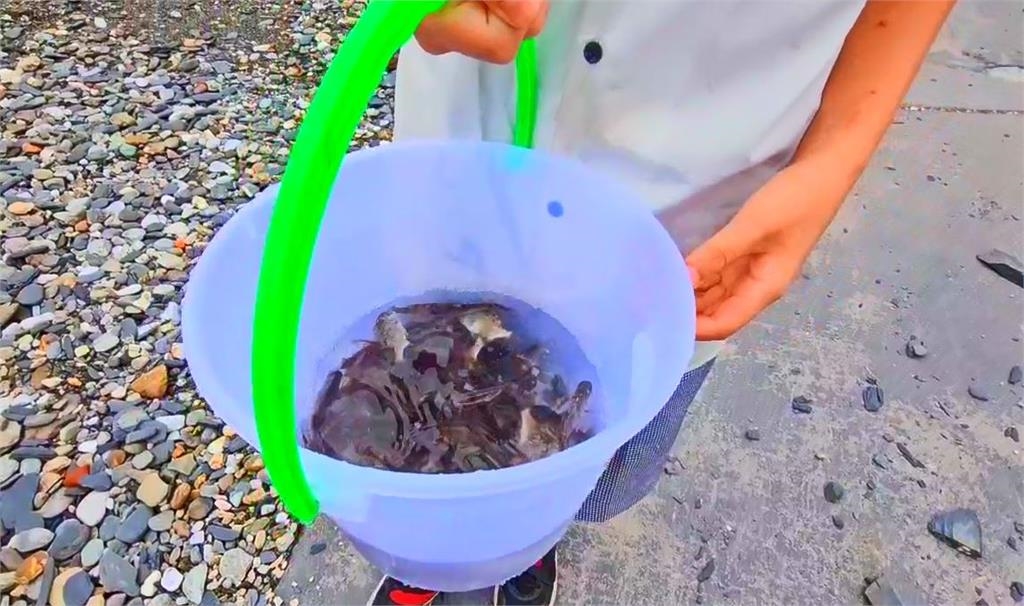 台灣海漁基金會邀師生放流魚苗 涵養漁業資源!生態永續向下扎根