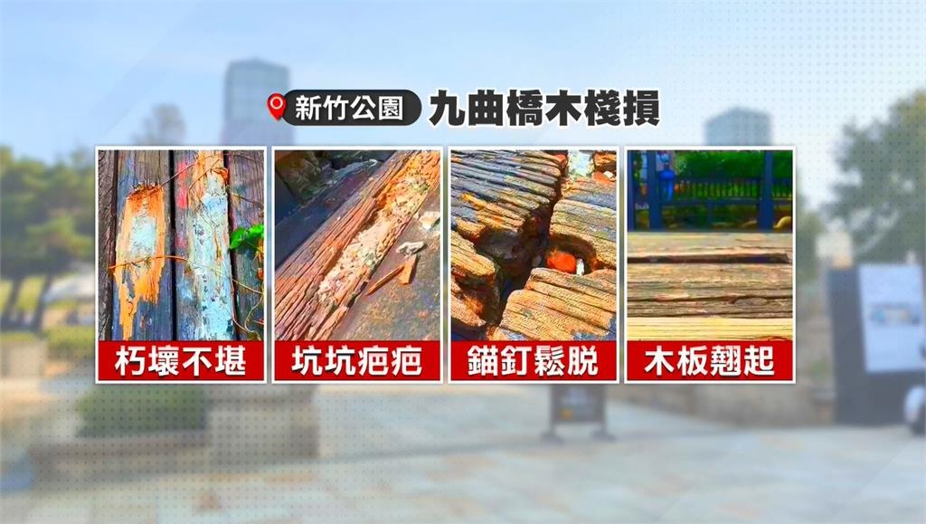 公園維護漏洞百出！　棧道腐朽不堪、特殊「熊谷櫻」遭砍伐