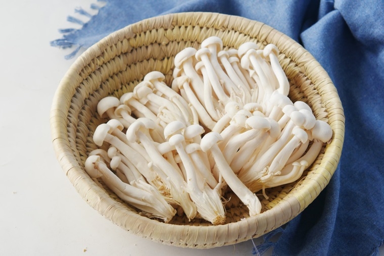 香菇冷藏可以放多久? 常見菇類挑選、保存秘訣搶鮮報