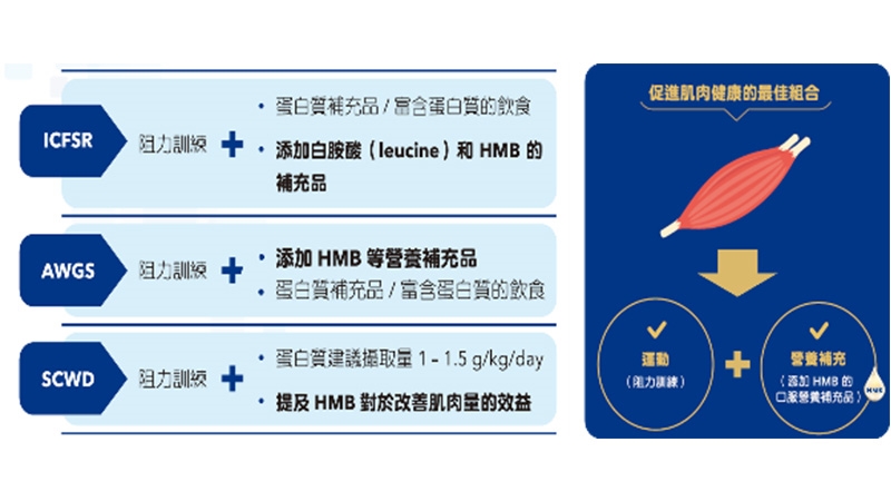 阻力訓練+蛋白質補充+醫學實證HMB營養品
