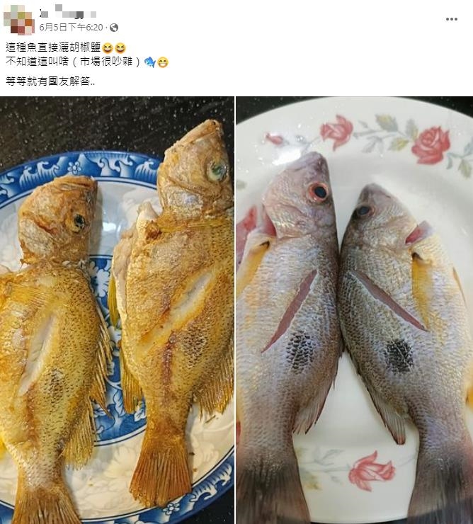 他發「金黃煎魚照」問這是什麼品種?網歪樓反問:是用哪牌的鍋子啊?