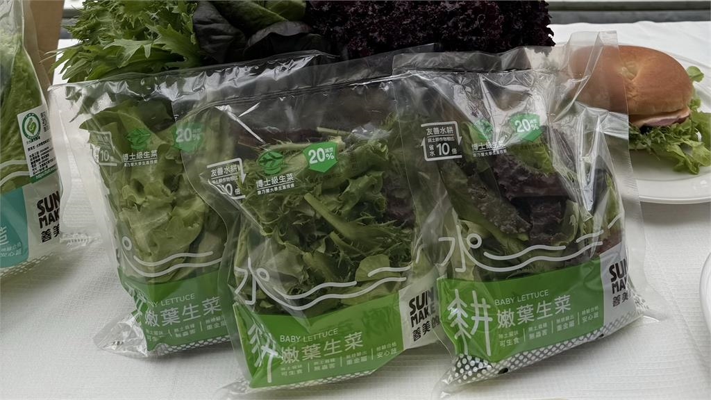 不吃土只喝水!深水式水耕蔬菜生長快 產能為土耕10倍