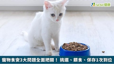 寵物食安3大問題全面把關! 挑選、餵食、保存1次到位